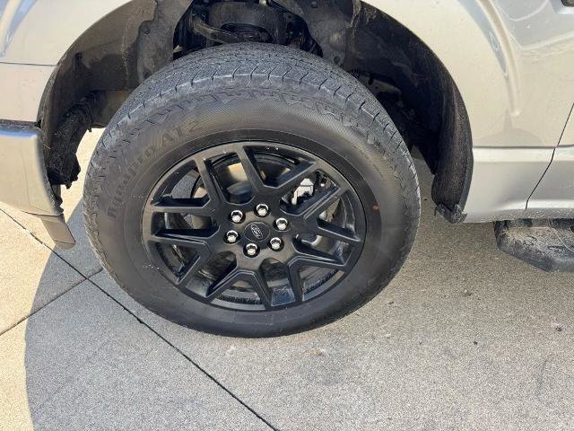 Certified 2024 Ford F150 STX w/ STX Black Appearance Package image 7