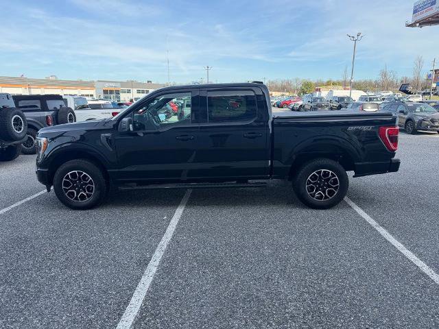 Certified 2023 Ford F150 XLT w/ Equipment Group 302A High image 2