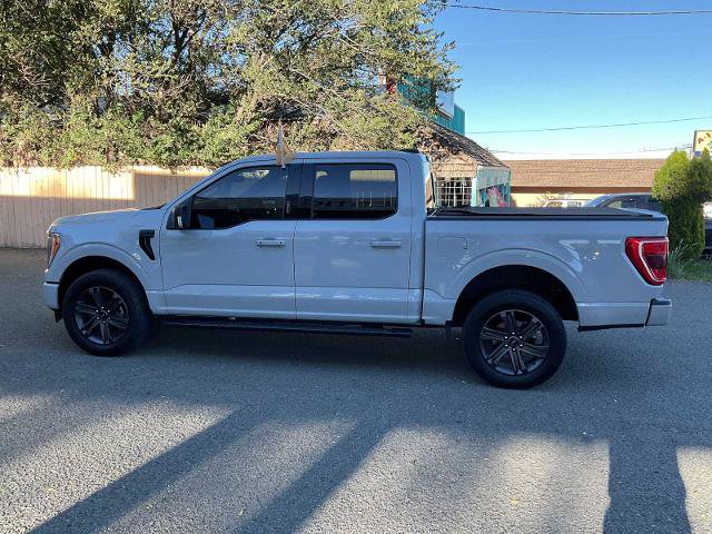 Certified 2023 Ford F150 XLT w/ Equipment Group 302A High AWD/4WD image 5