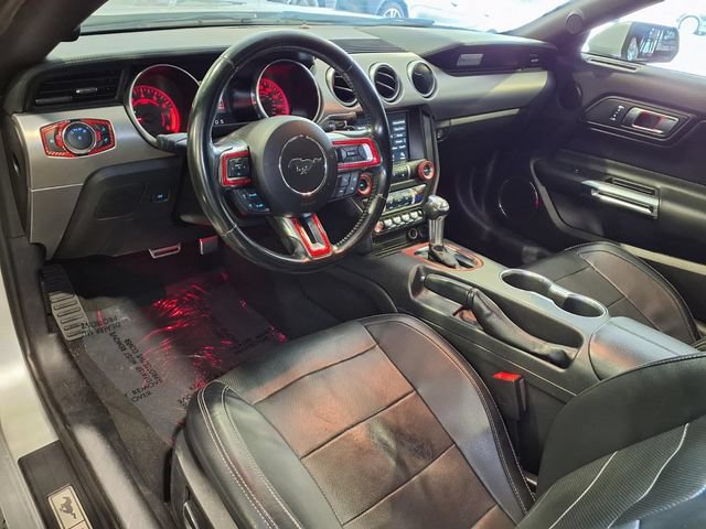 Certified 2019 Ford Mustang Premium RWD image 4