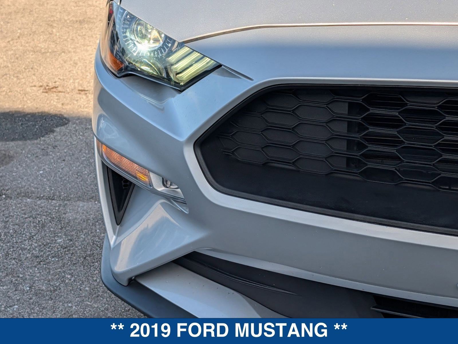 Certified 2019 Ford Mustang Premium image 9