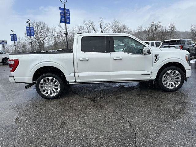 Certified 2023 Ford F150 Limited image 2