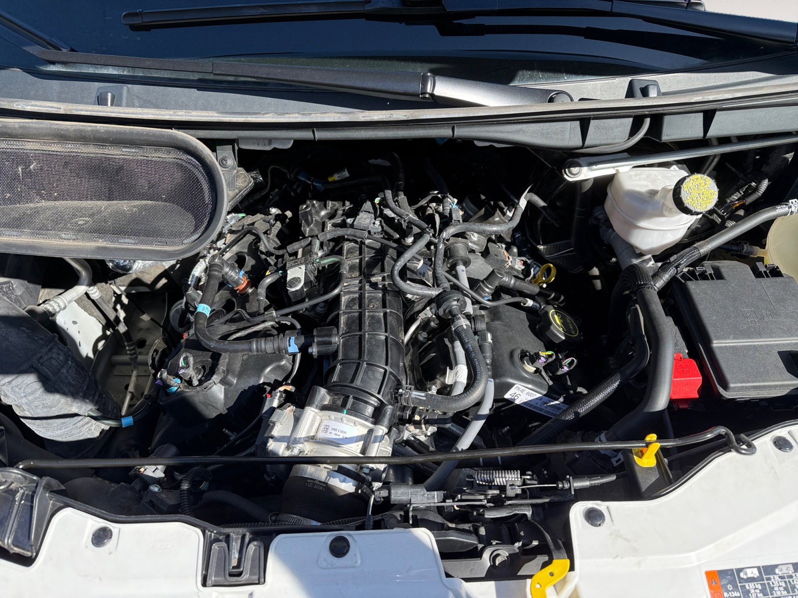Certified 2025 Ford Transit 350 XLT RWD image 19