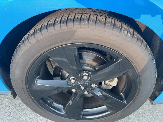 Certified 2023 Ford Mustang GT Premium w/ Mustang Nite Pony Package image 11