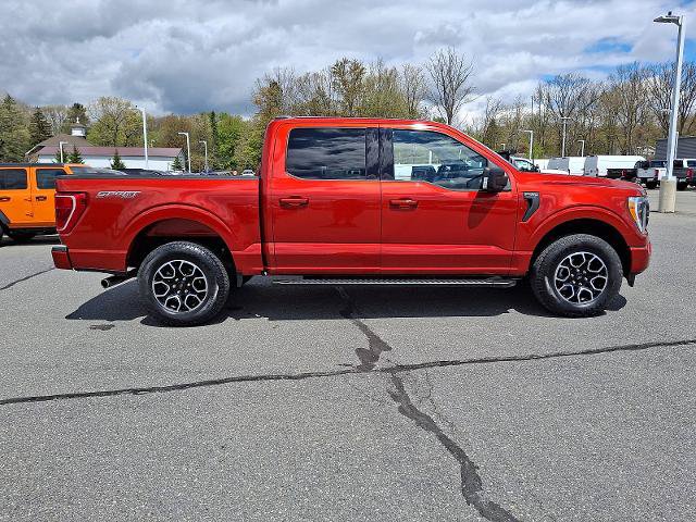 Certified 2023 Ford F150 XLT w/ Equipment Group 302A High AWD/4WD image 7