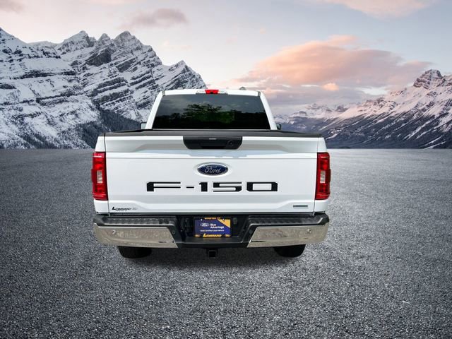 Certified 2023 Ford F150 XLT w/ Equipment Group 301A Mid image 4