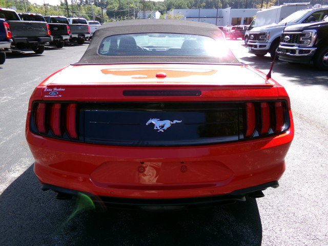 Certified 2020 Ford Mustang Premium RWD image 9