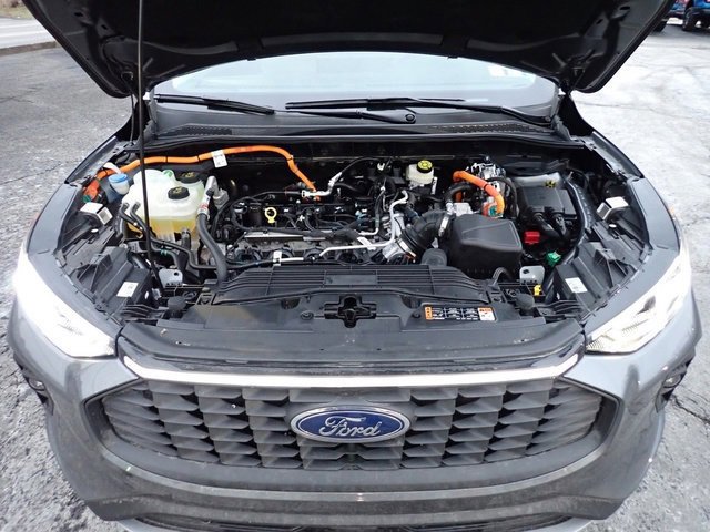 Certified 2025 Ford Escape Platinum image 13