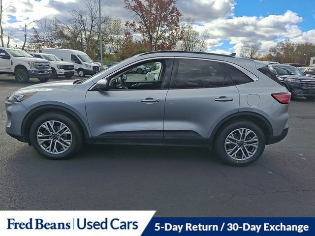 Certified 2022 Ford Escape SEL image 3