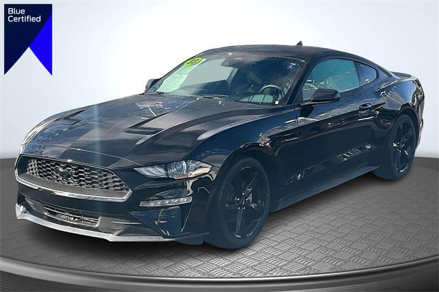 Certified 2023 Ford Mustang Coupe w/ Mustang Nite Pony Package image 1