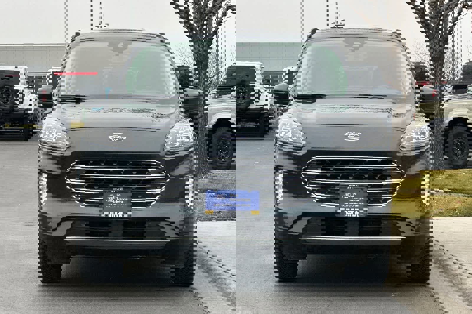 Certified 2022 Ford Escape Titanium w/ Titanium Premium Package image 8