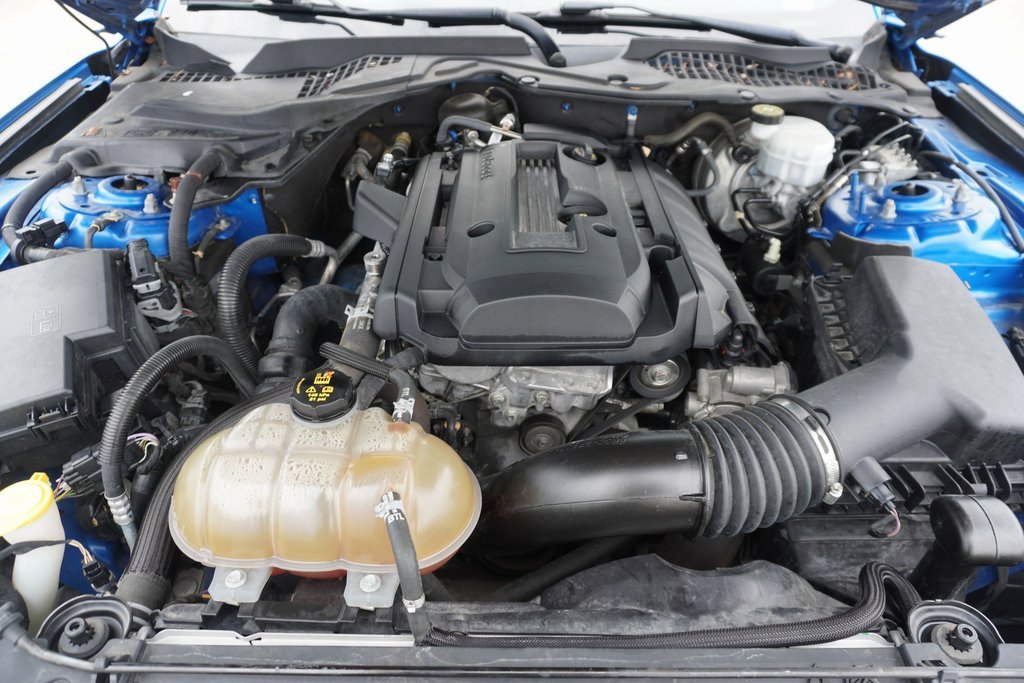 Certified 2019 Ford Mustang Coupe image 28