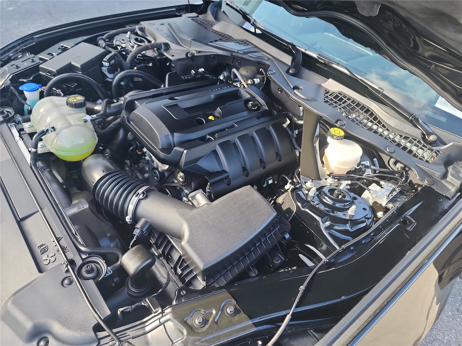 Certified 2020 Ford Mustang Premium image 14