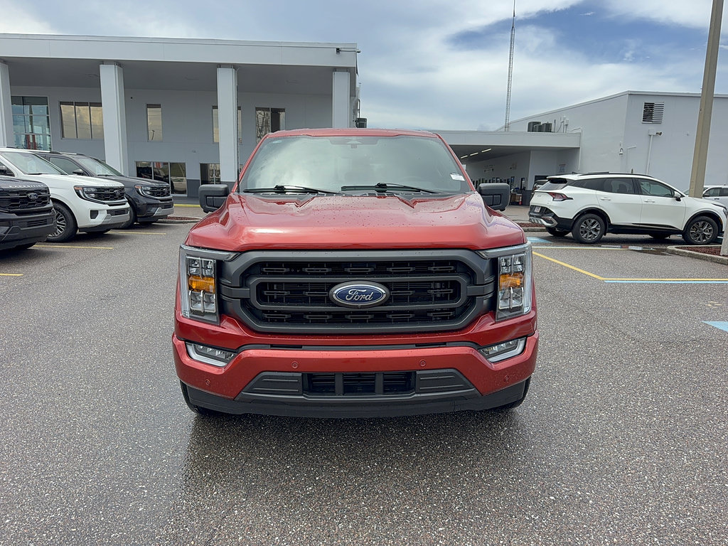 Certified 2023 Ford F150 XLT w/ Equipment Group 302A High RWD image 3