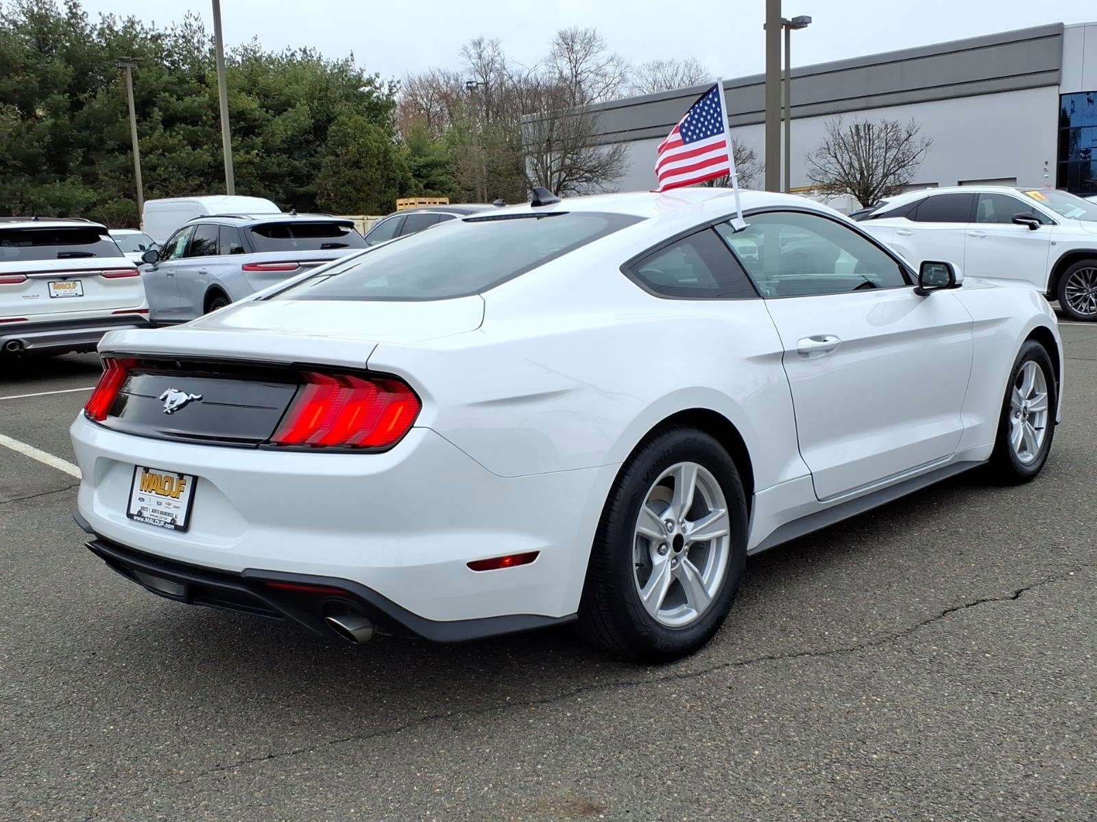 Certified 2021 Ford Mustang EcoBoost image 6
