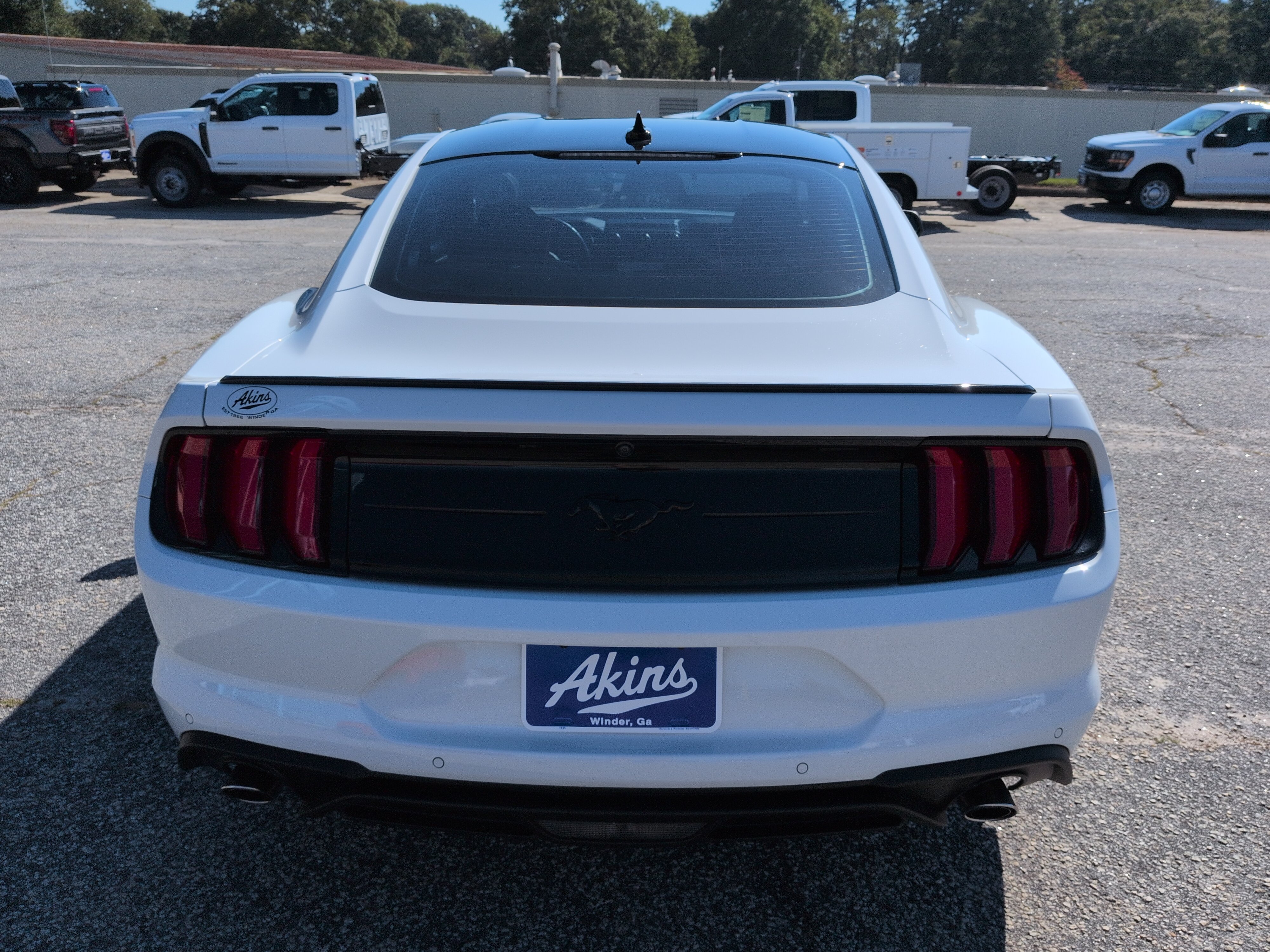 Certified 2022 Ford Mustang Coupe w/ Equipment Group 101A RWD image 4