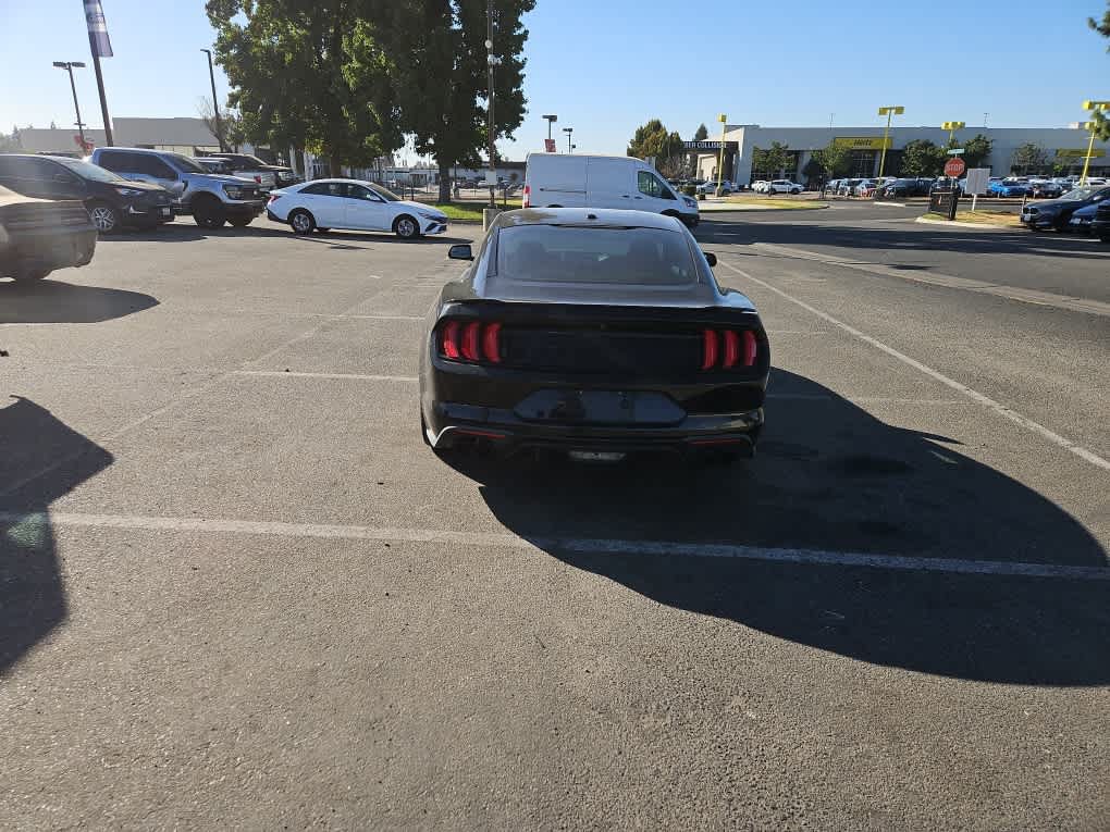 Certified 2019 Ford Mustang GT w/ Equipment Group 301A RWD image 7