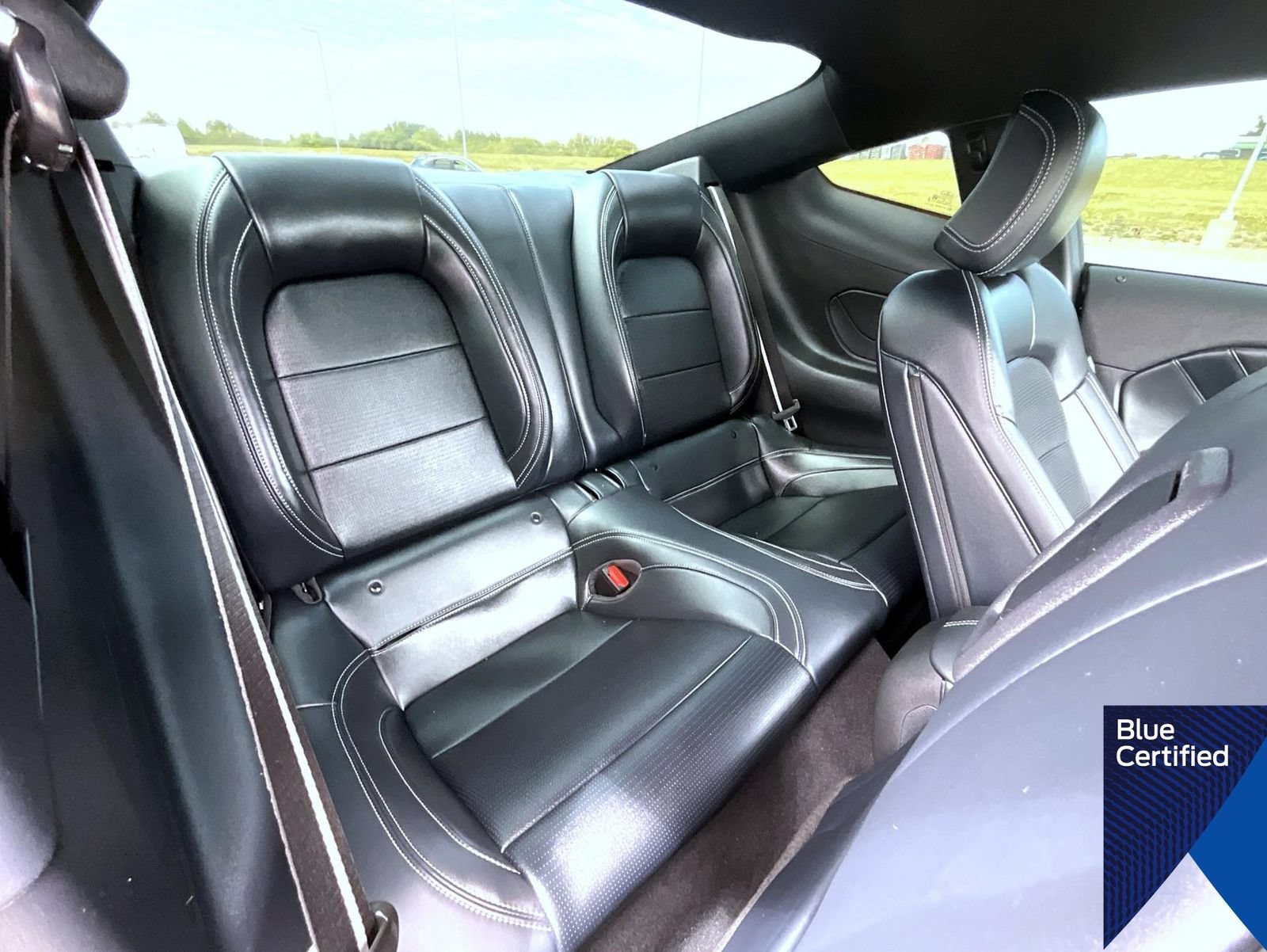 Certified 2025 Ford Mustang GT Premium RWD image 16