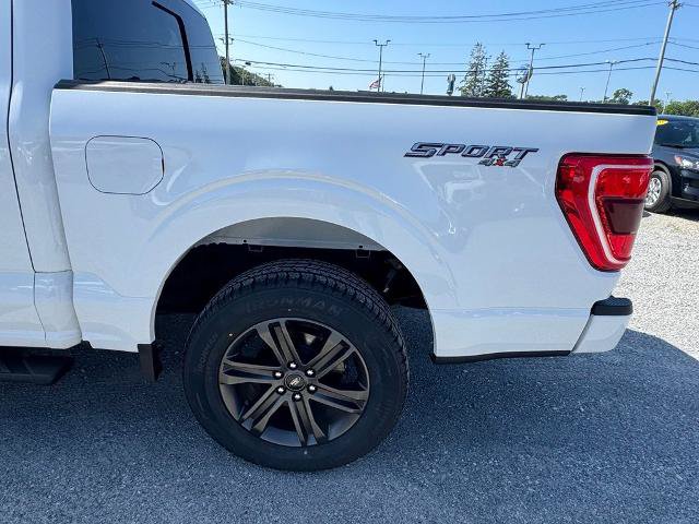 Certified 2021 Ford F150 XLT w/ Equipment Group 302A High AWD/4WD image 6