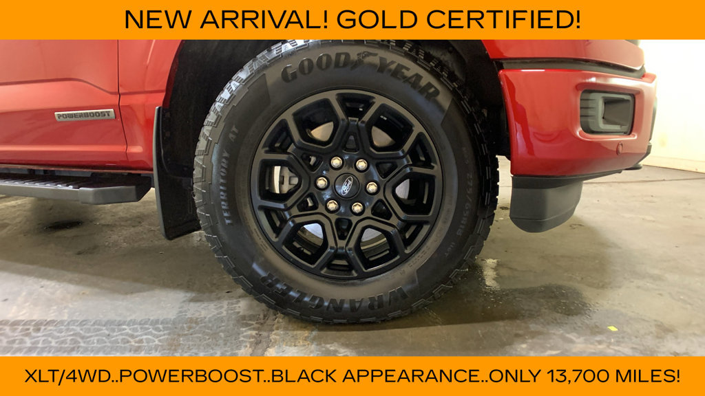 Certified 2024 Ford F150 XLT w/ Equipment Group 302A MID AWD/4WD image 9