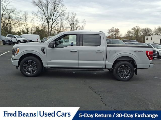 Certified 2023 Ford F150 XLT w/ Equipment Group 302A High image 3