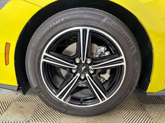Certified 2025 Ford Mustang Premium RWD image 11