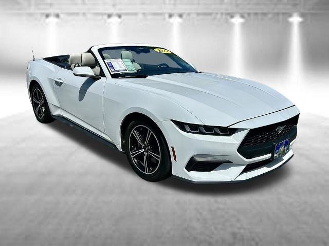 Certified 2024 Ford Mustang Premium RWD image 3