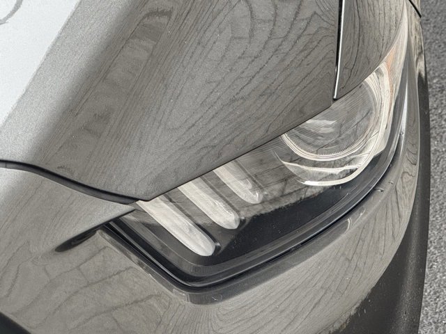 Certified 2017 Ford Mustang GT Premium w/ Black Accent Package image 11