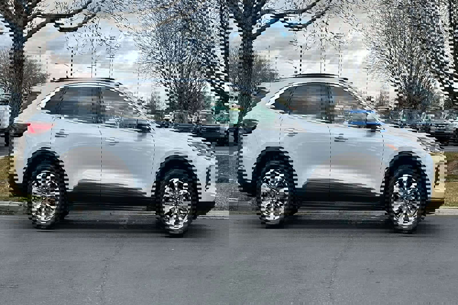 Certified 2025 Ford Escape Platinum image 6