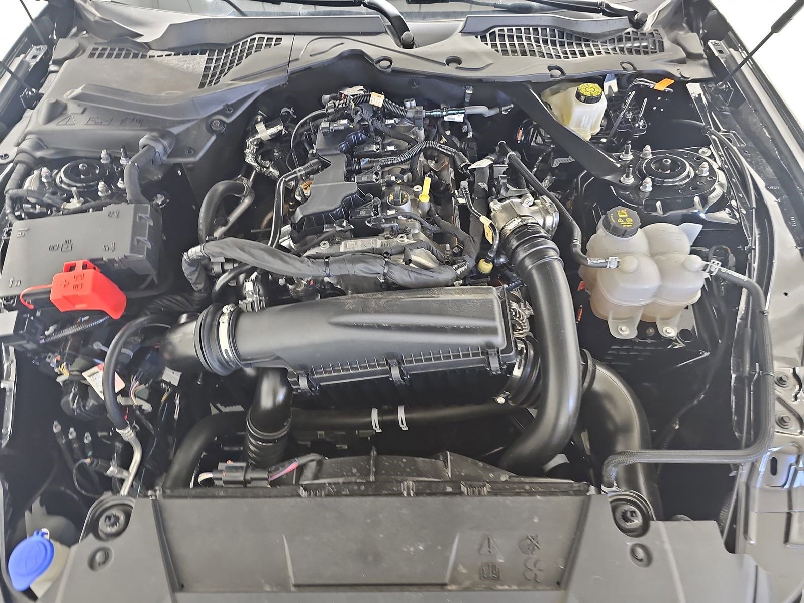 Certified 2024 Ford Mustang Premium image 45