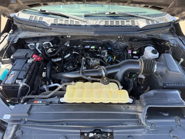 Certified 2020 Ford F150 XL w/ Equipment Group 101A Mid RWD image 42