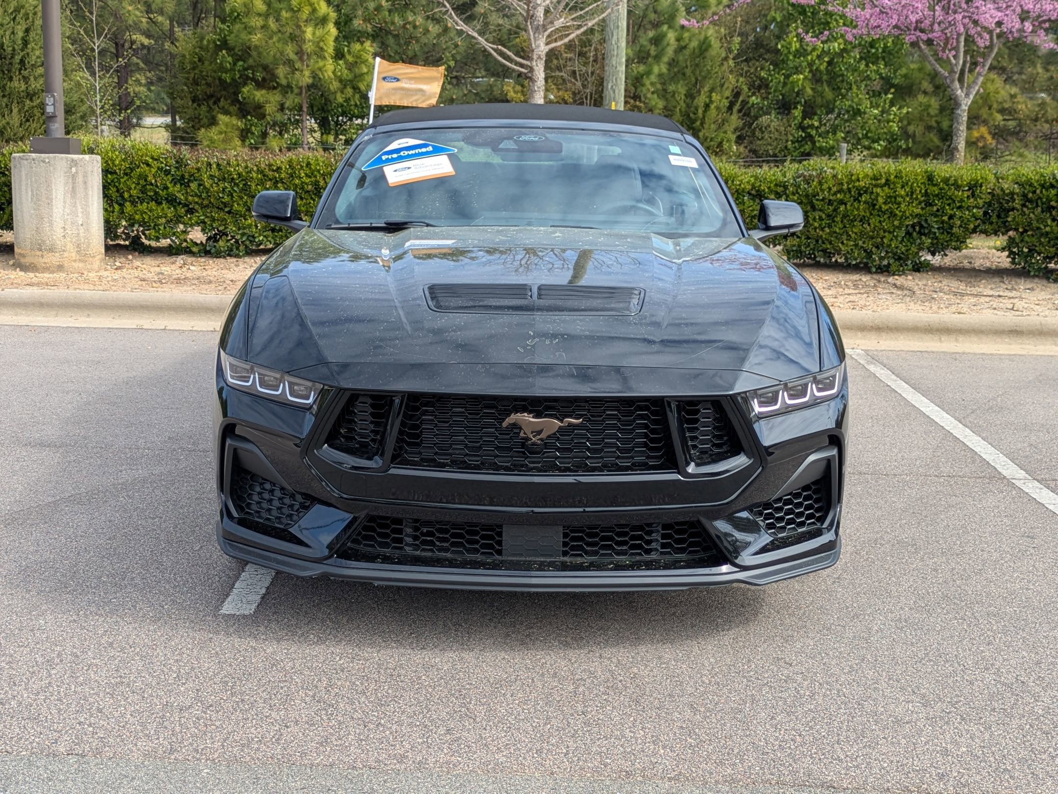 Certified 2024 Ford Mustang GT Premium w/ GT Performance Package image 11