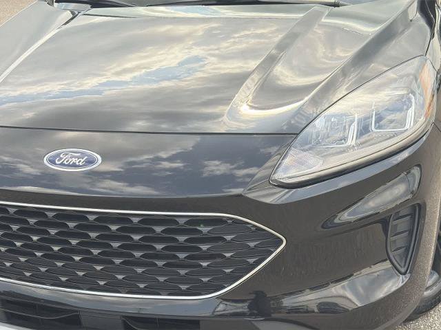Certified 2021 Ford Escape SE w/ Convenience Package FWD image 11