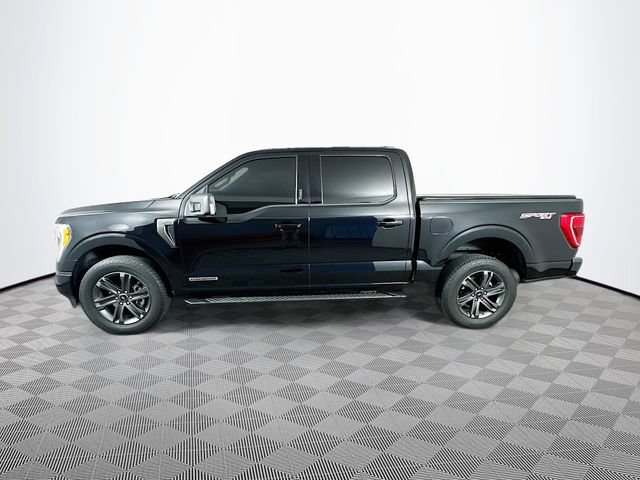 Certified 2023 Ford F150 XLT w/ Equipment Group 302A High AWD/4WD image 6