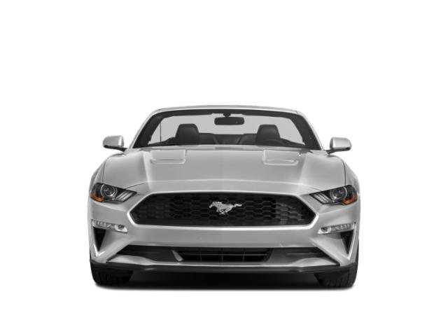 Certified 2021 Ford Mustang Premium RWD image 4