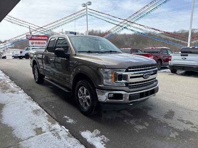Certified 2019 Ford F150 XLT w/ Equipment Group 302A Luxury image 2