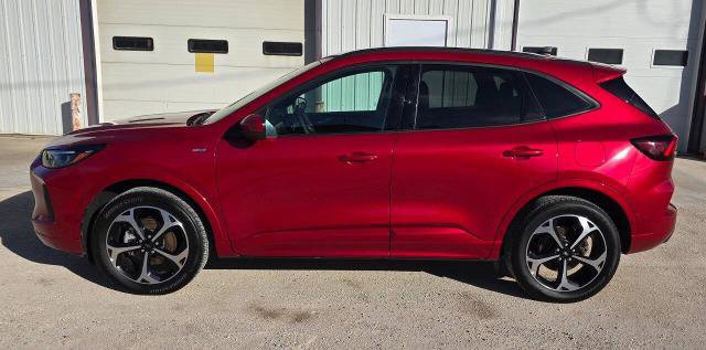 Certified 2025 Ford Escape ST-Line Elite image 2
