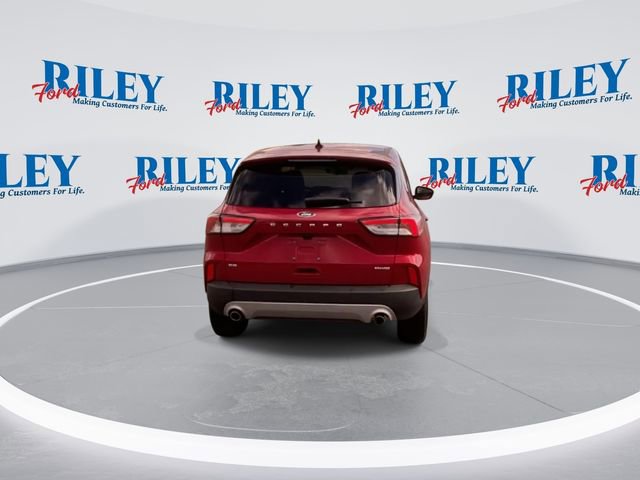 Certified 2022 Ford Escape SE w/ Cold Weather Package AWD/4WD image 8