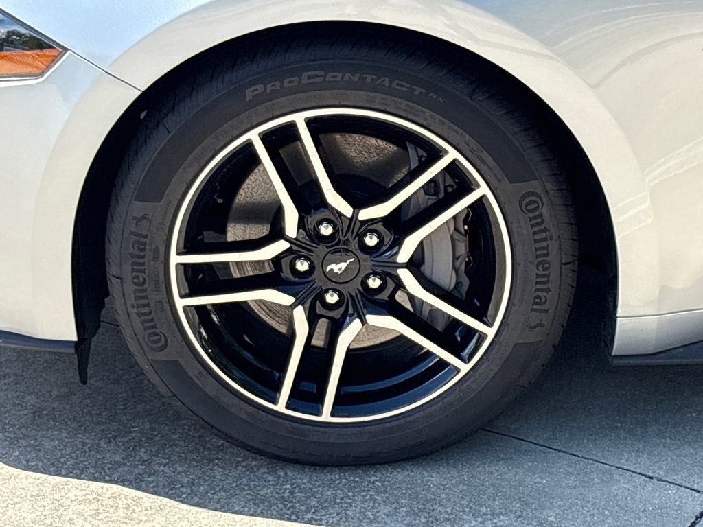 Certified 2019 Ford Mustang GT Premium w/ Equipment Group 401A RWD image 11