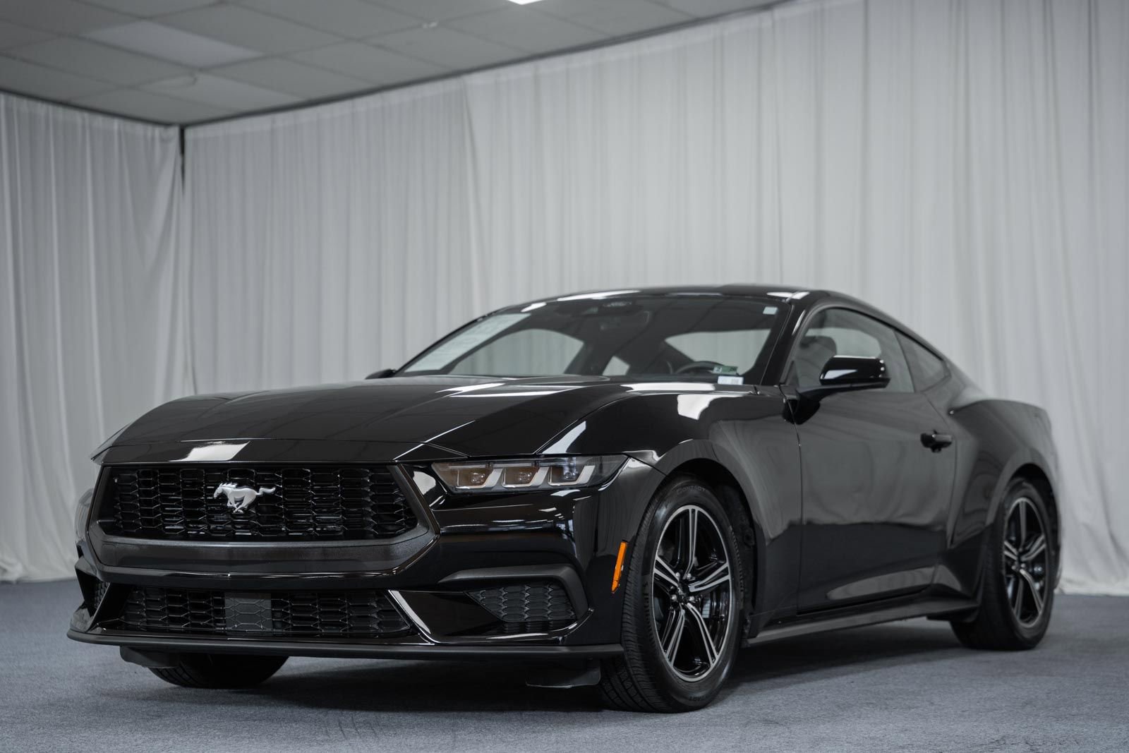 Certified 2024 Ford Mustang Premium image 3