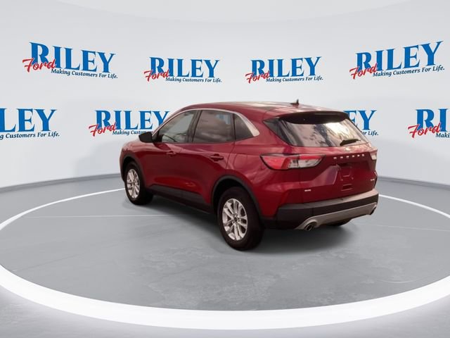 Certified 2022 Ford Escape SE w/ Cold Weather Package AWD/4WD image 7