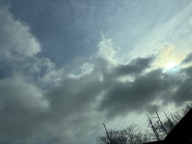 Certified 2021 Ford Edge ST w/ Equipment Group 401A image 15