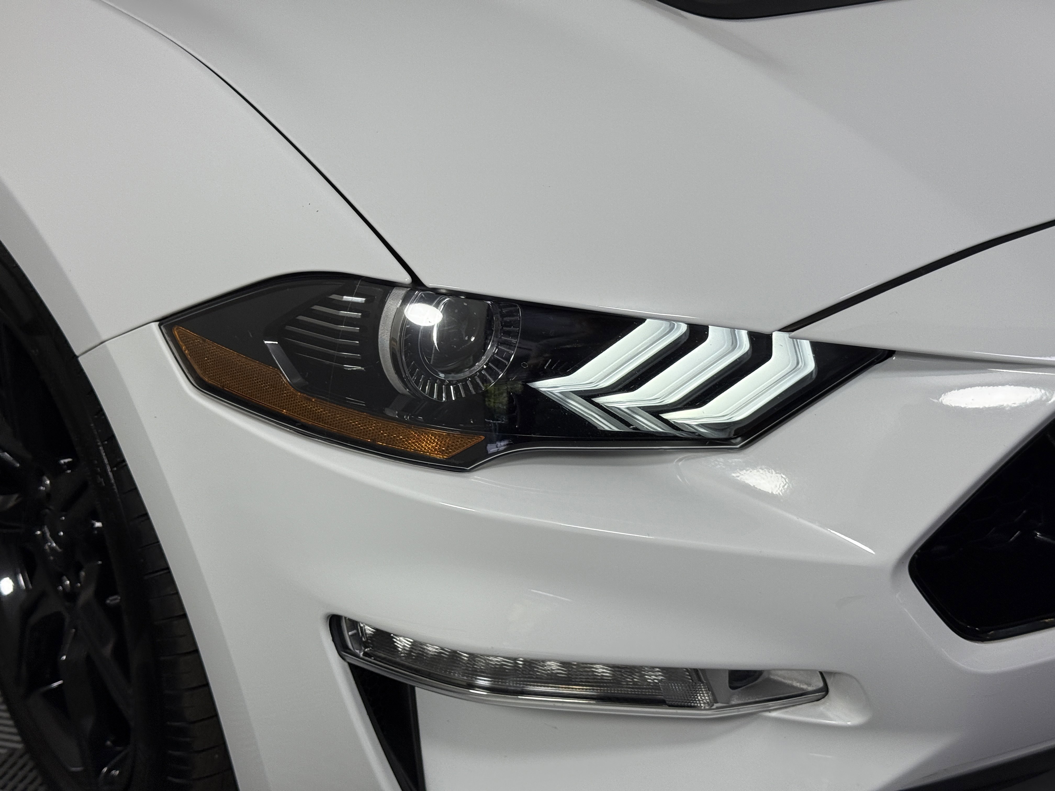 Certified 2019 Ford Mustang GT Premium w/ Equipment Group 401A image 7