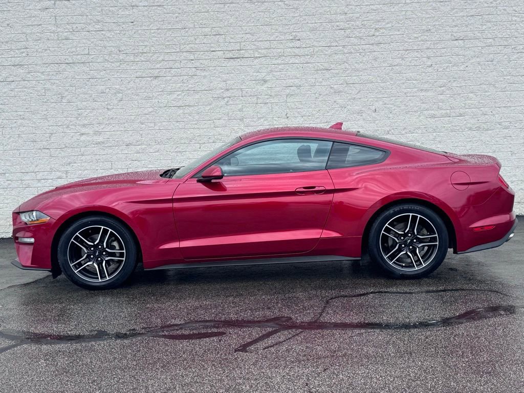 Certified 2021 Ford Mustang Coupe w/ Equipment Group 101A RWD image 8