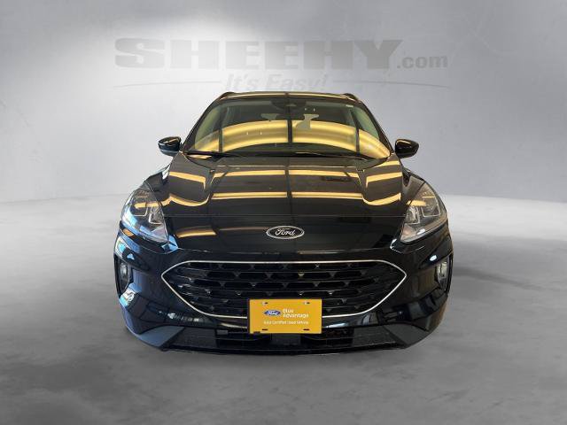 Certified 2022 Ford Escape SEL w/ SEL Stealth AWD Package image 13