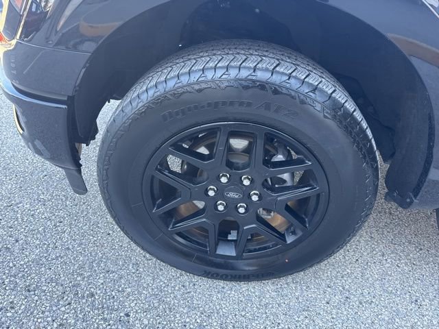 Certified 2024 Ford F150 STX w/ STX Black Appearance Package image 36