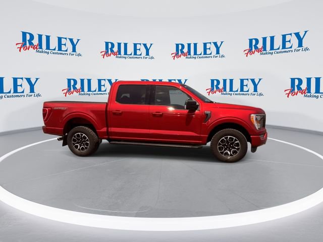 Certified 2023 Ford F150 XLT w/ Equipment Group 302A High AWD/4WD image 10