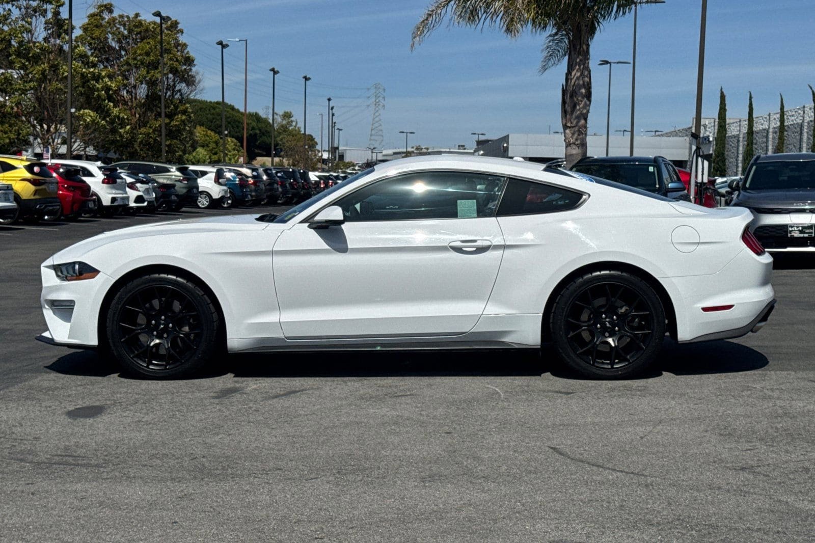 Certified 2018 Ford Mustang Premium w/ Ecoboost Performance Package RWD image 9