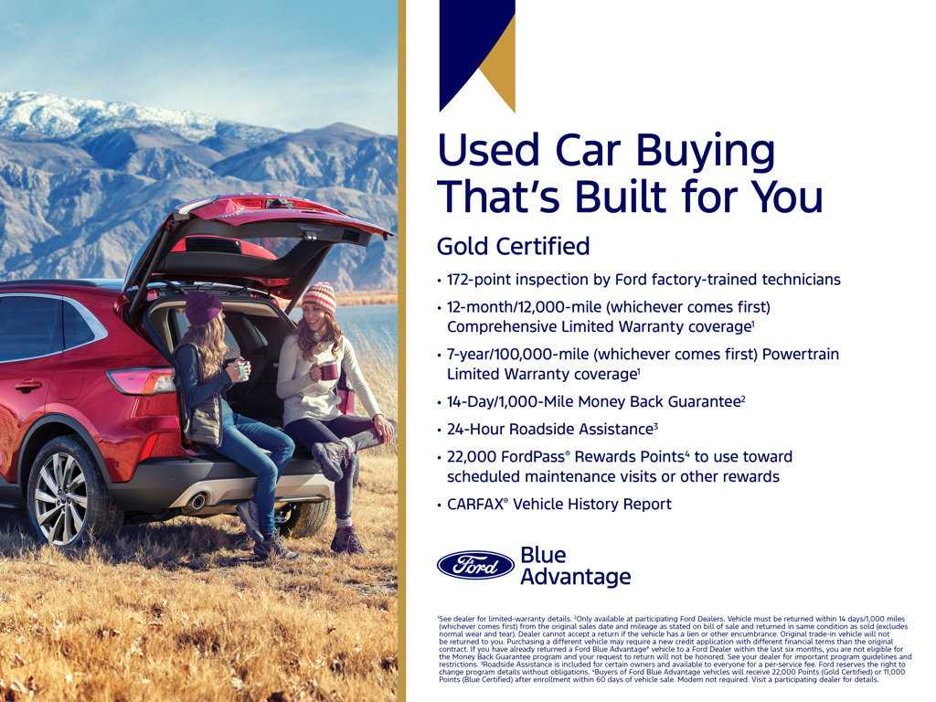 Certified 2025 Ford Transit 250 Low Roof w/ Exterior Upgrade Package RWD image 5