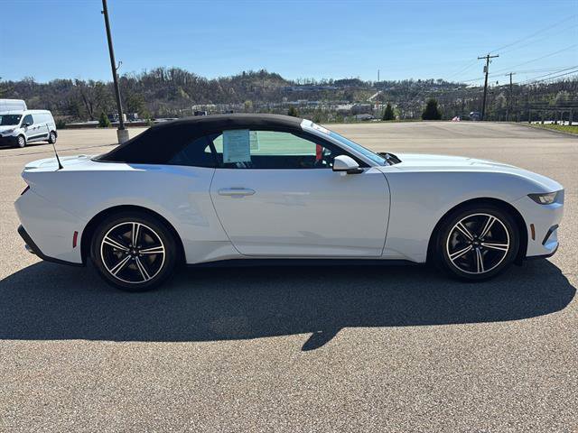 Certified 2024 Ford Mustang Premium image 5